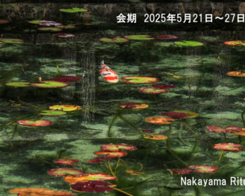 中山律子写真展
