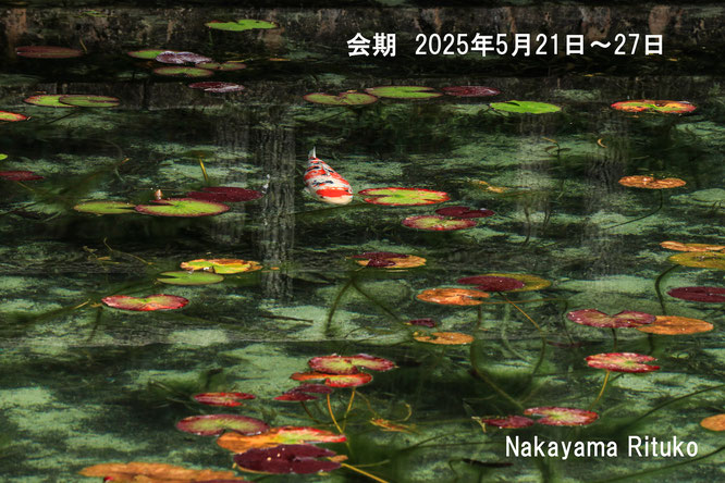 中山律子写真展